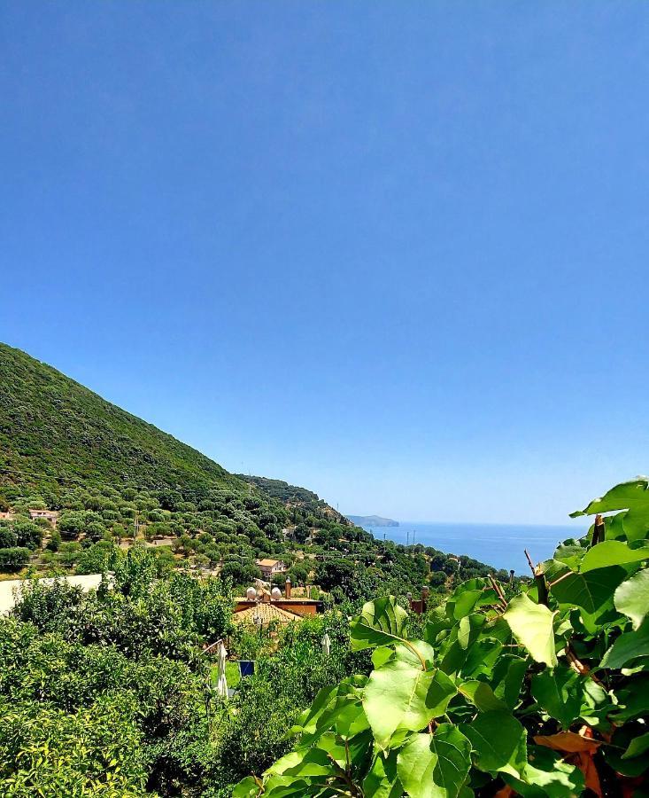 La Casa Sul Blu Albergo Diffuso 피시오타 외부 사진