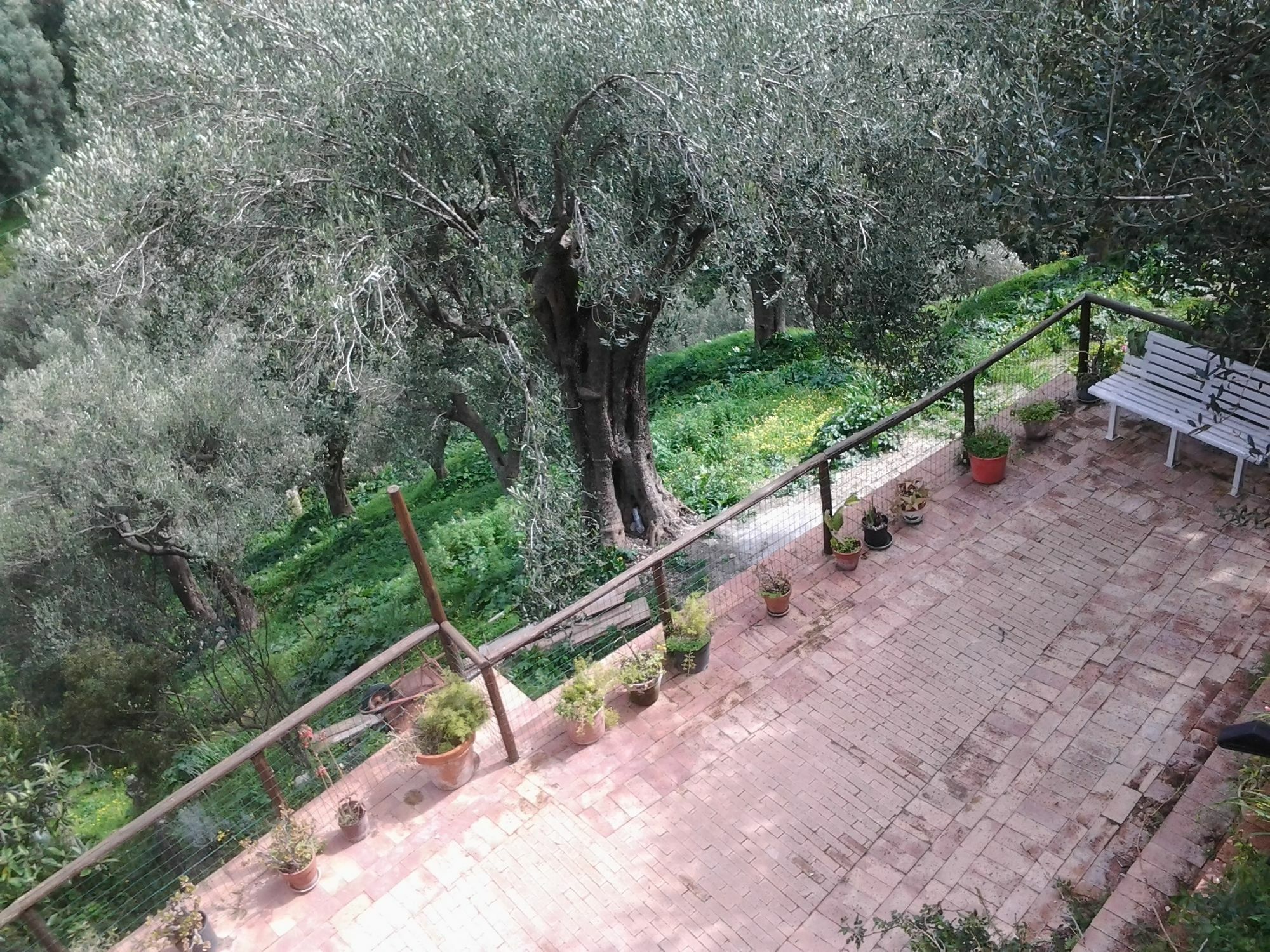 La Casa Sul Blu Albergo Diffuso 피시오타 외부 사진
